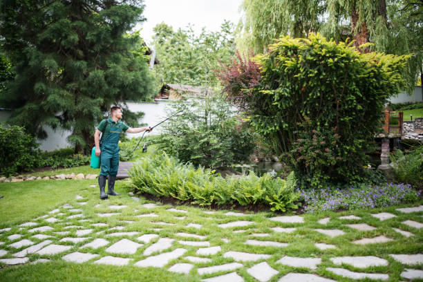 Best Pest Removal Services  in Winsted, CT