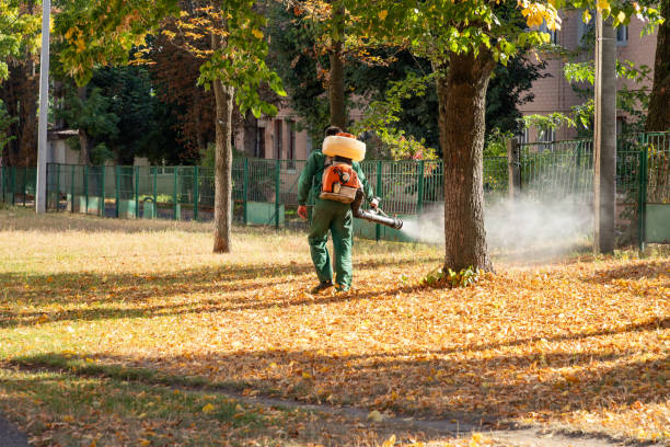 Best Local Pest Control Services  in Winsted, CT