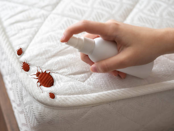 Reliable Winsted, CT Pest Control Solutions