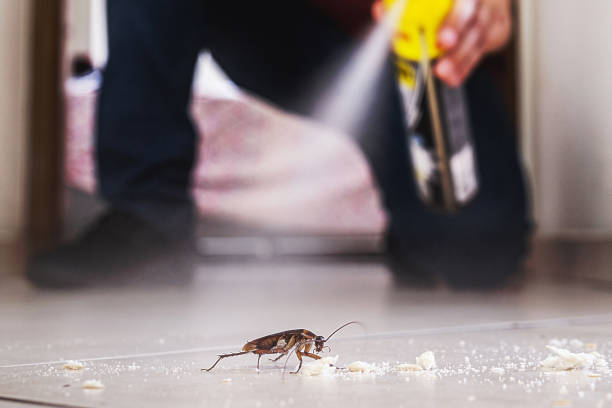 Best Pest Removal Services  in Winsted, CT