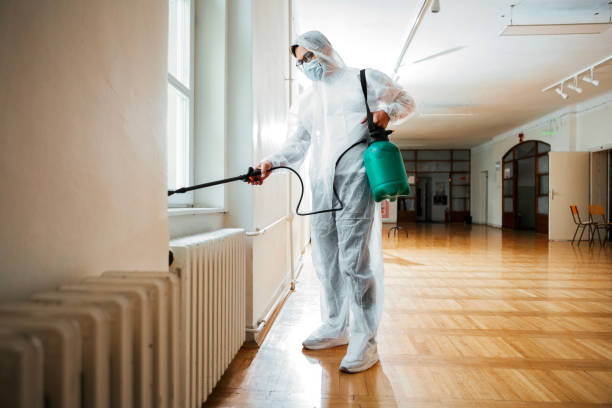 Best Pest Control Treatment  in Winsted, CT
