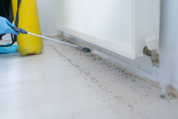 Best Cockroach Control Services  in Winsted, CT