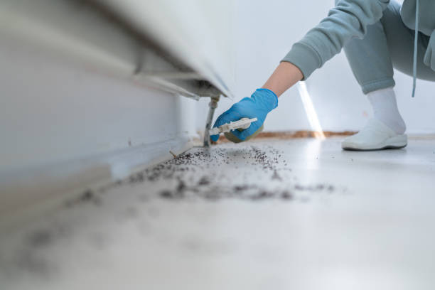 Best Best Pest Control Companies  in Winsted, CT