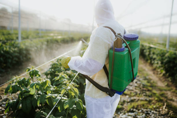 Wildlife Control Services in Winsted, CT